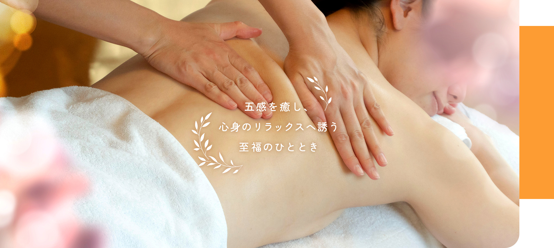 メインビジュアル画像