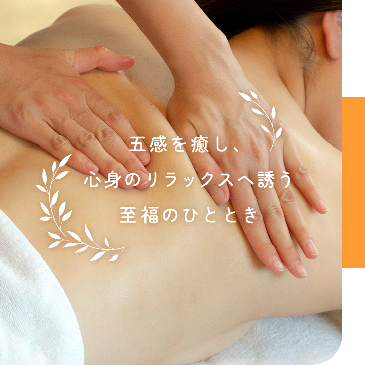 メインビジュアル画像